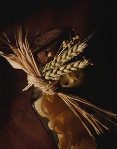 模型蒸馏